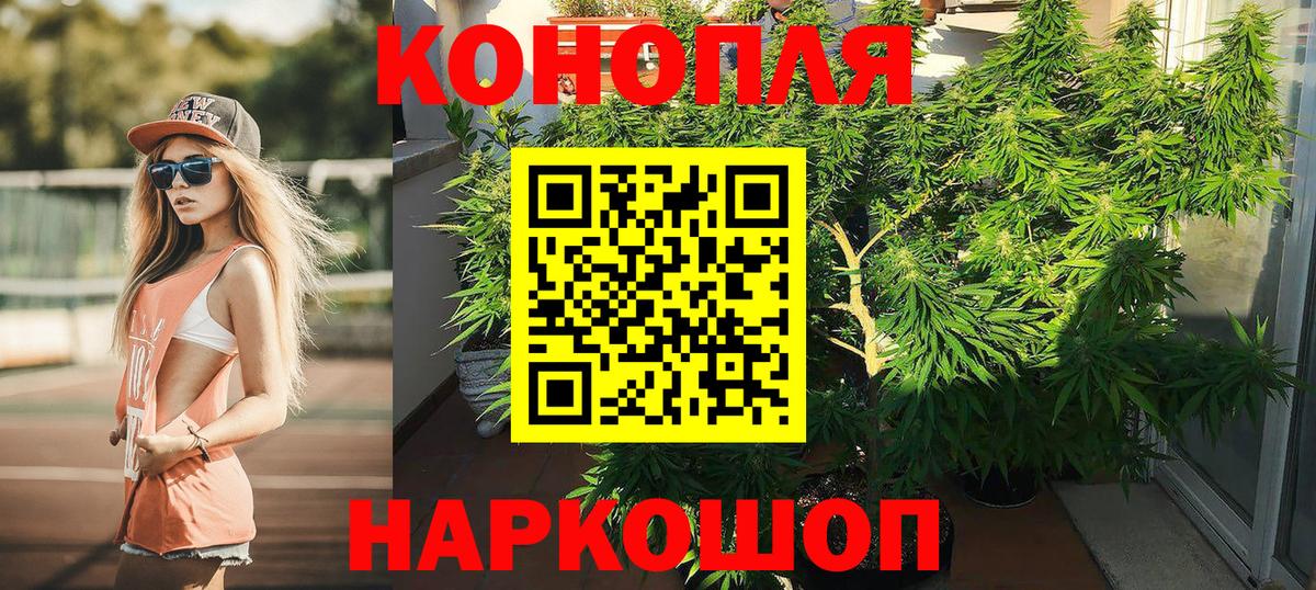 Канабис ГИДРОПОН Курчалой